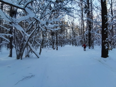 Лыжная база в селе Ромашково