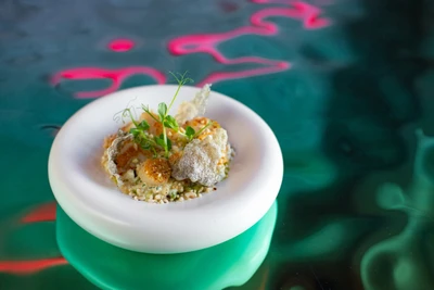 Скидка 20% на горячее и закуски в  "Lure Oysterbar"