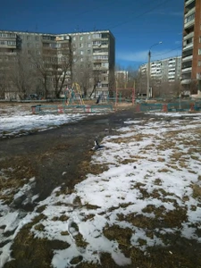 Детская игровая площадка (Детские игровые залы и площадки)