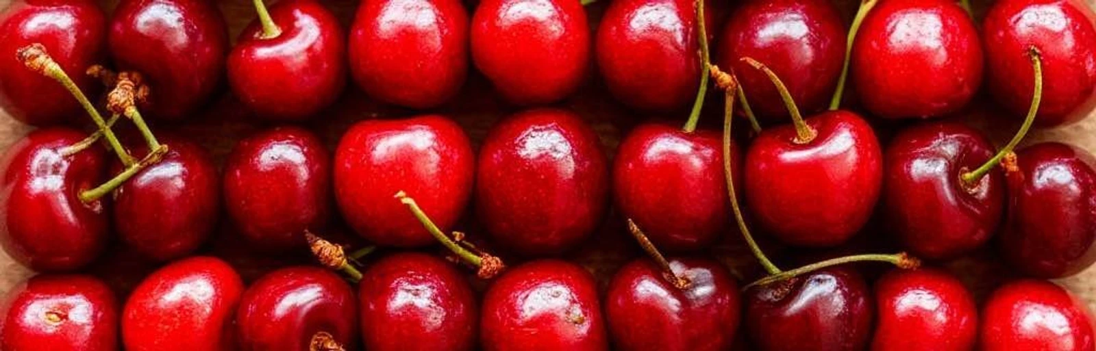 Стильный принт этого лета – Cherry Coded