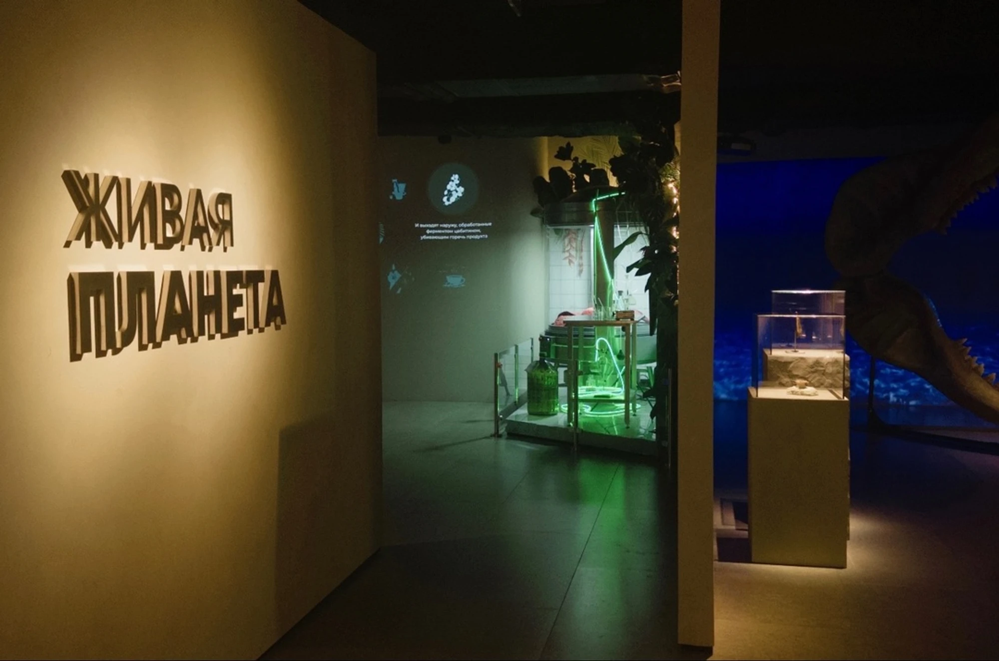 vk.com/maf.museum