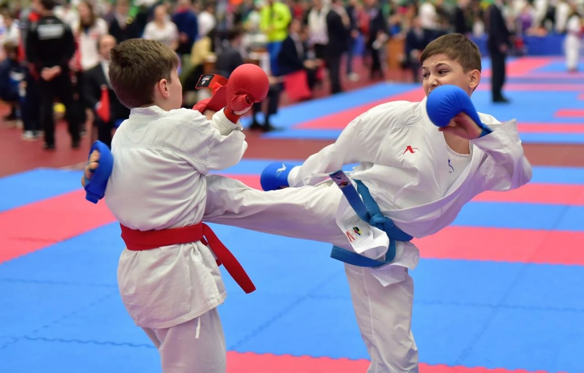 Центральная школа Каратэ (Спортивный клуб, секция )