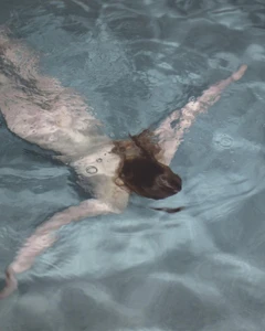 "Фонарные бани", исторические бани Петербурга