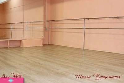 "Танцемания" (школа танцев)