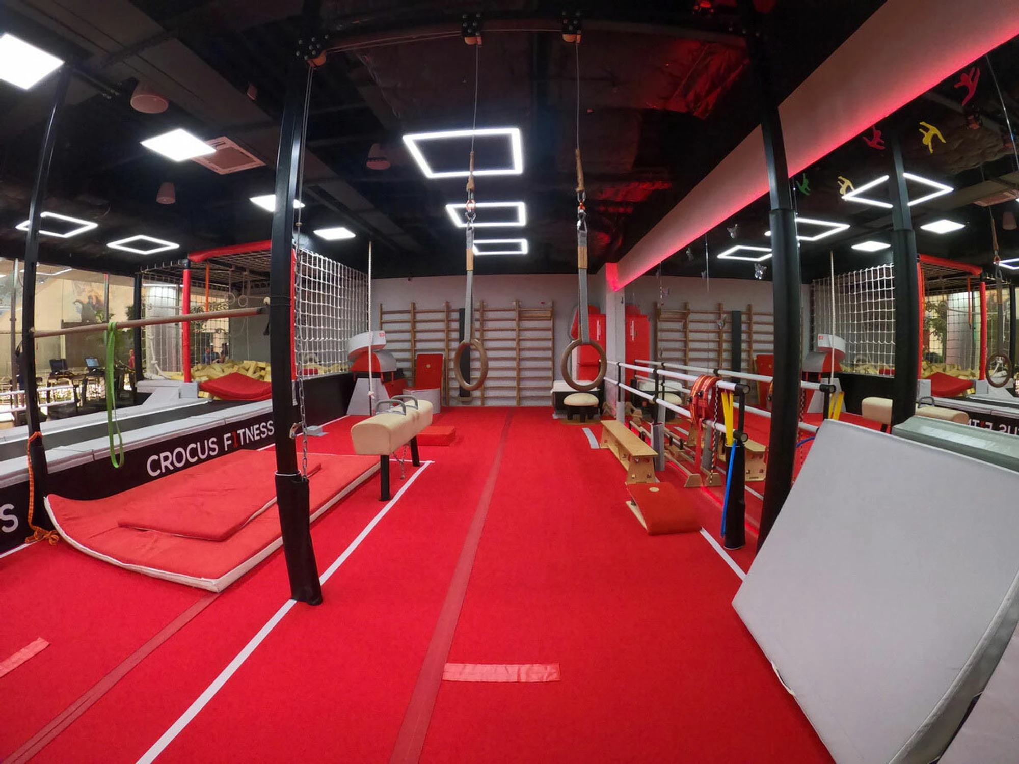 BodyMovin (Спортивная школа)