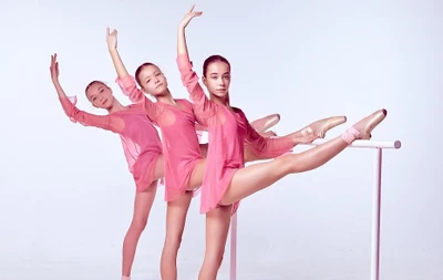 Ренарденс (Школа танцев)