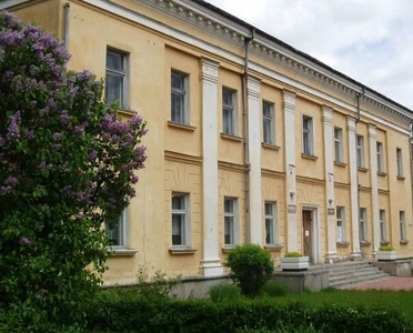 Детская школа искусств (Школа искусств )