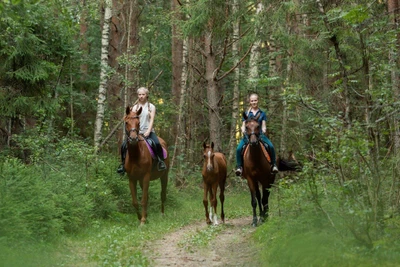 Прогулки верхом