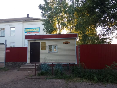 Давлекановская обувная фабрика (Обувная компания )