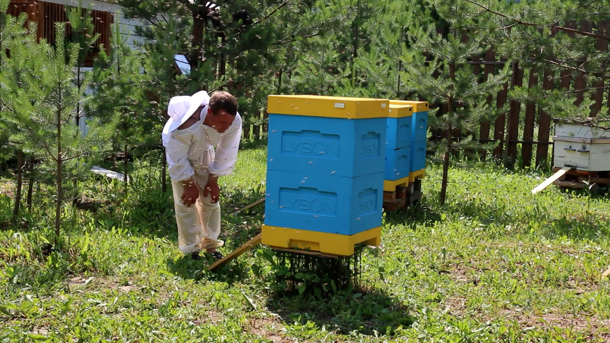 Изображение галлереи