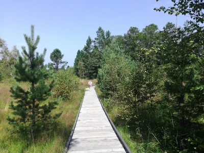 Порт Танхой (Турбаза)