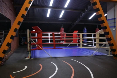 Велес (Спортивный клуб, секция)