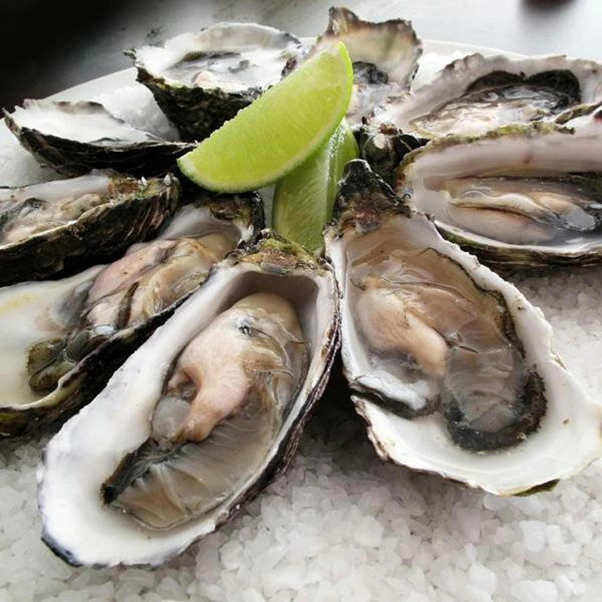 Моремания (Ресторан )