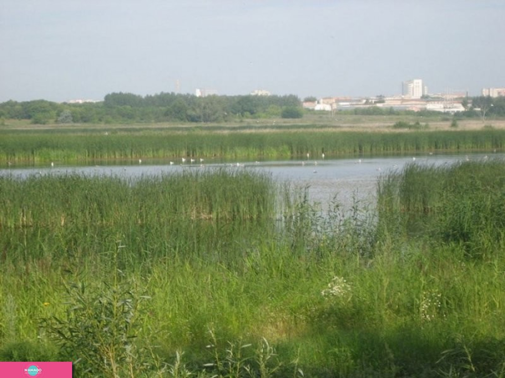 "Птичья гавань", природный парк в Левобережном районе Омска 