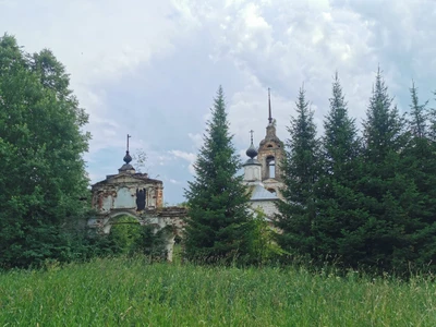 Церковь Преображения Господня в Шишкино (Православный храм)