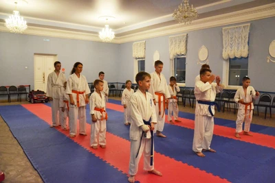 Школа Единоборств Красный Тигр (Спортивный клуб, секция )