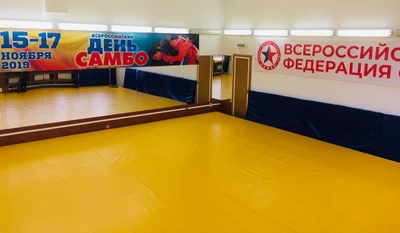 МУ Спортивная школа олимпийского резерва № 17, зал борьбы (Спортивная школа )