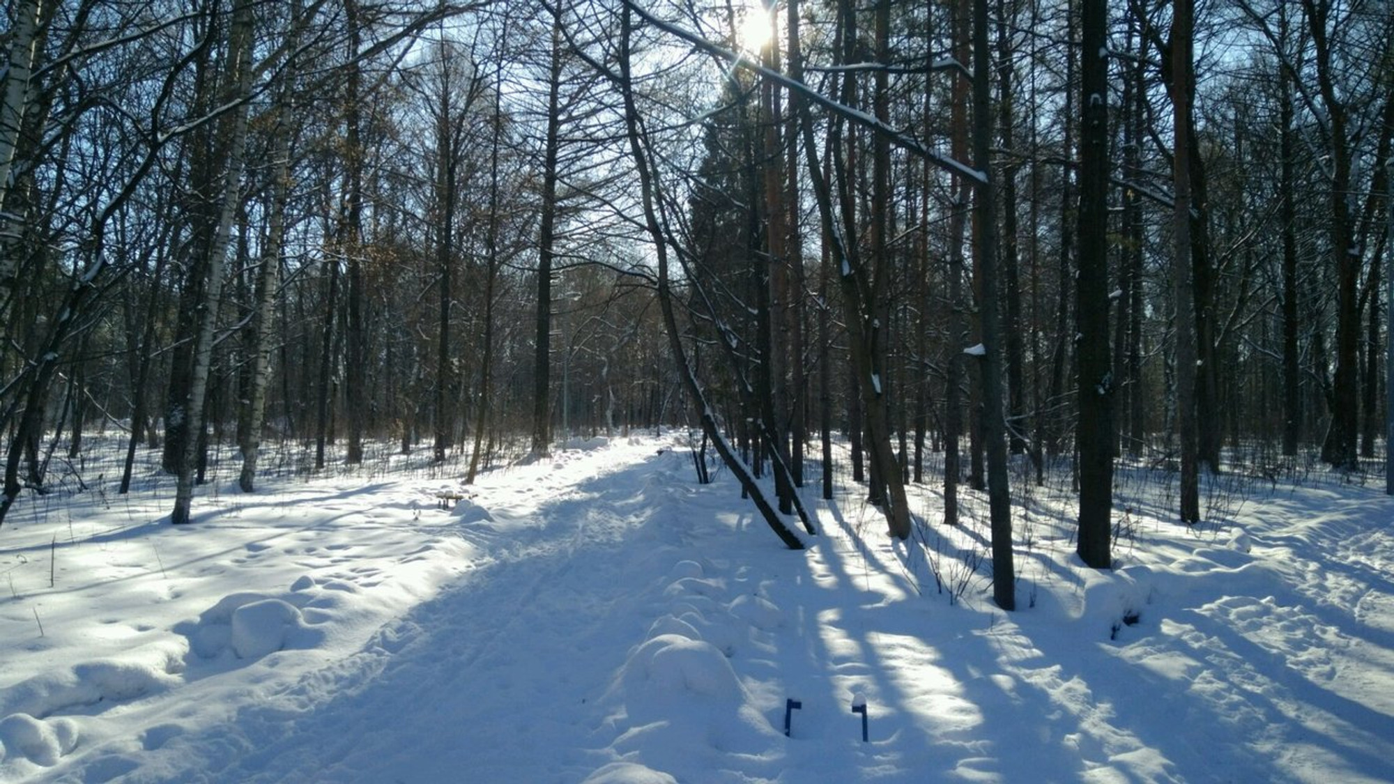 Дубки (Парк культуры и отдыха)