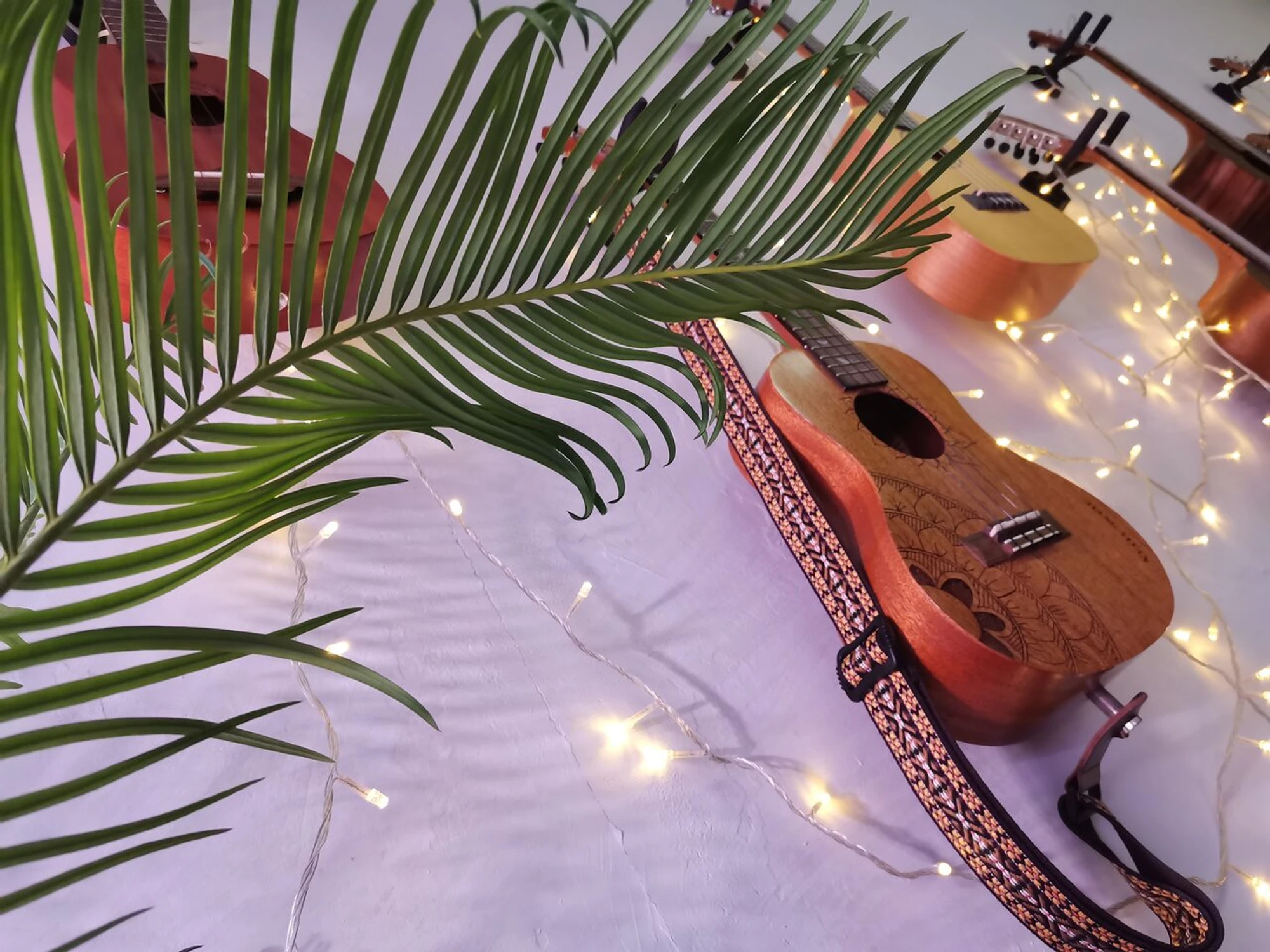 ШколаУкулеле.рф (Музыкальное образование )