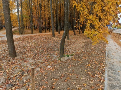 парк Ленинского комсомола (Парк культуры и отдыха )