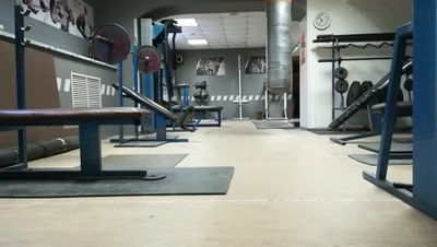 Медведь (Спортивный, тренажёрный зал)