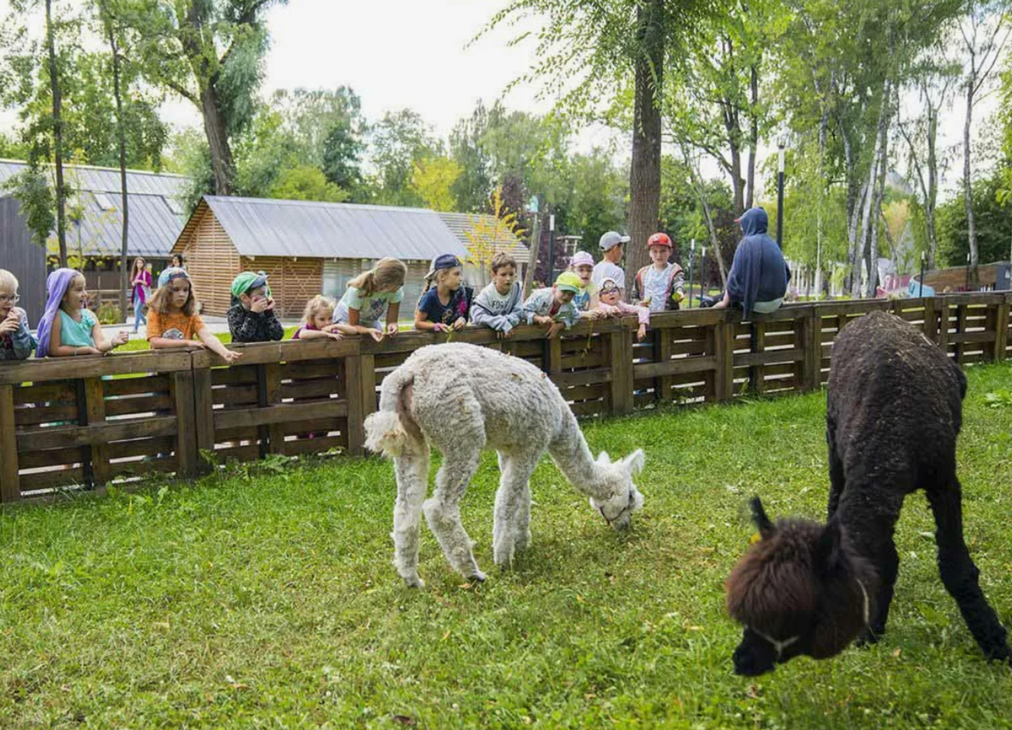 Городская ферма на ВДНХ&nbsp;