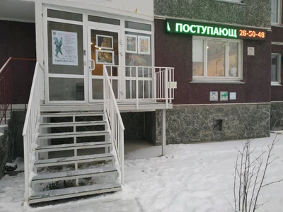 Бирюзовый кот студия рисования (Услуги репетиторов )