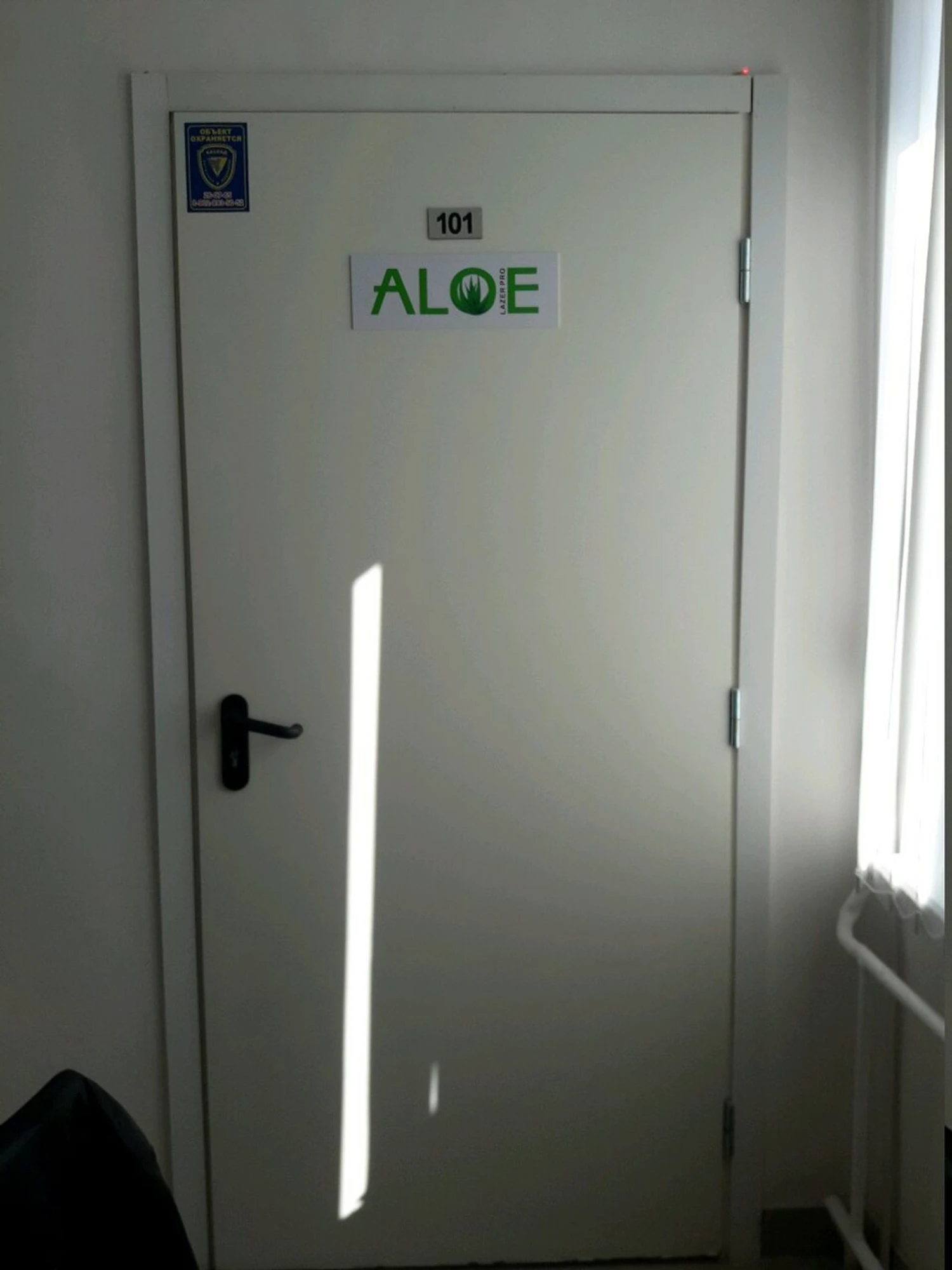 Aloe (Косметология )