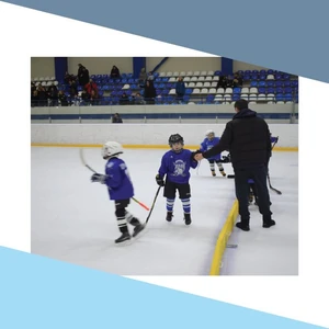 Школа хоккея (Спортивная школа )