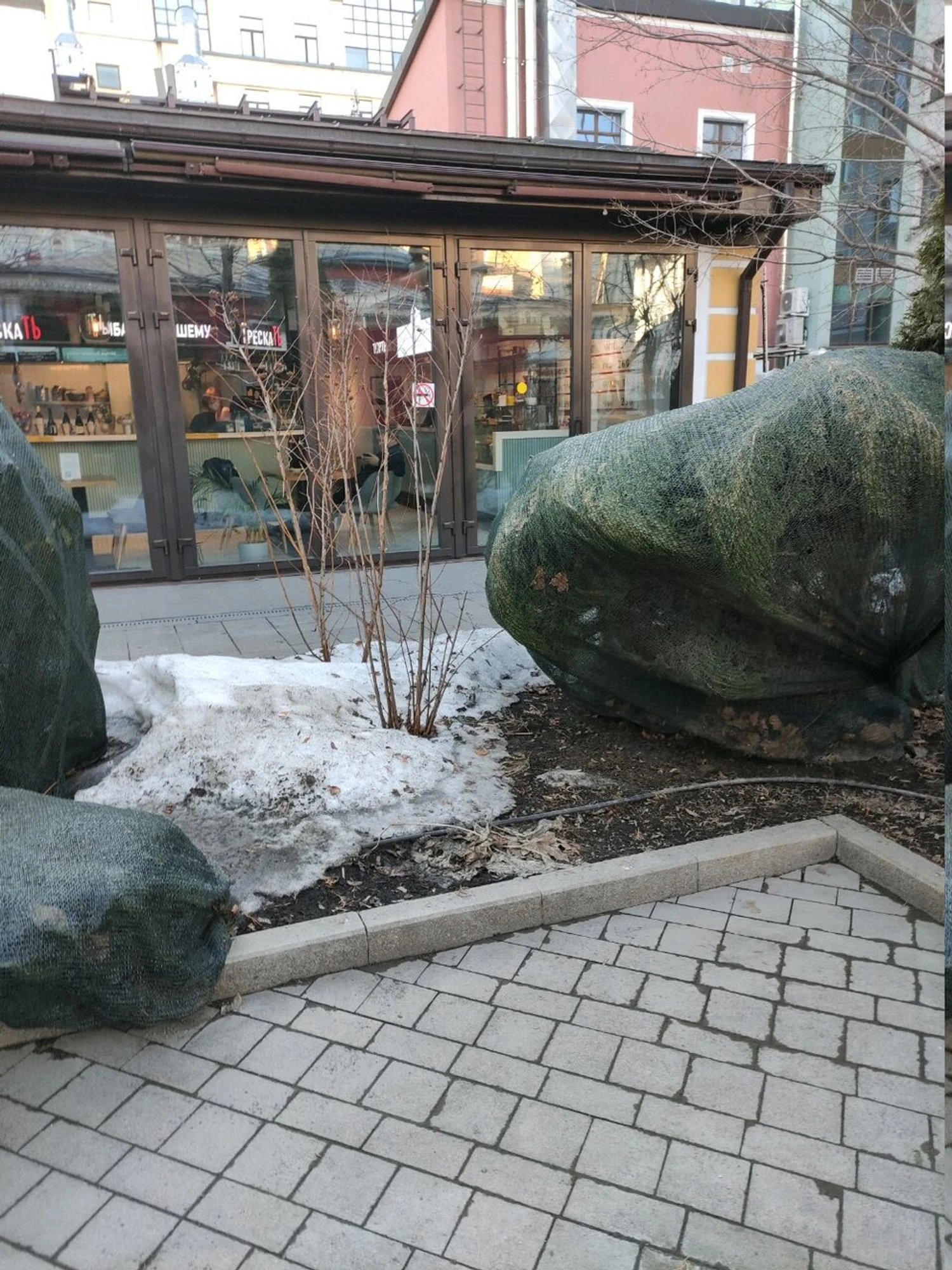 Москва-Париж (Кондитерская )