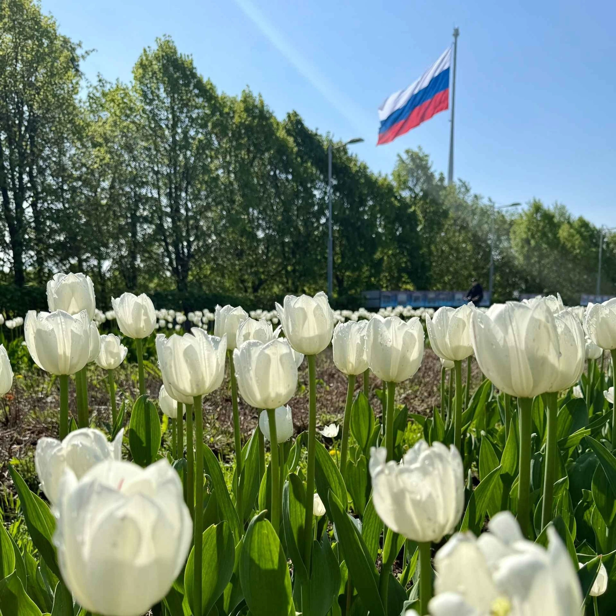 Почему детям у нас нравится?