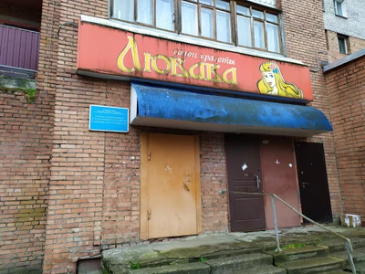 Специализированная детско-юношеская школа олимпийского резерва № 3 (Спортивная школа)