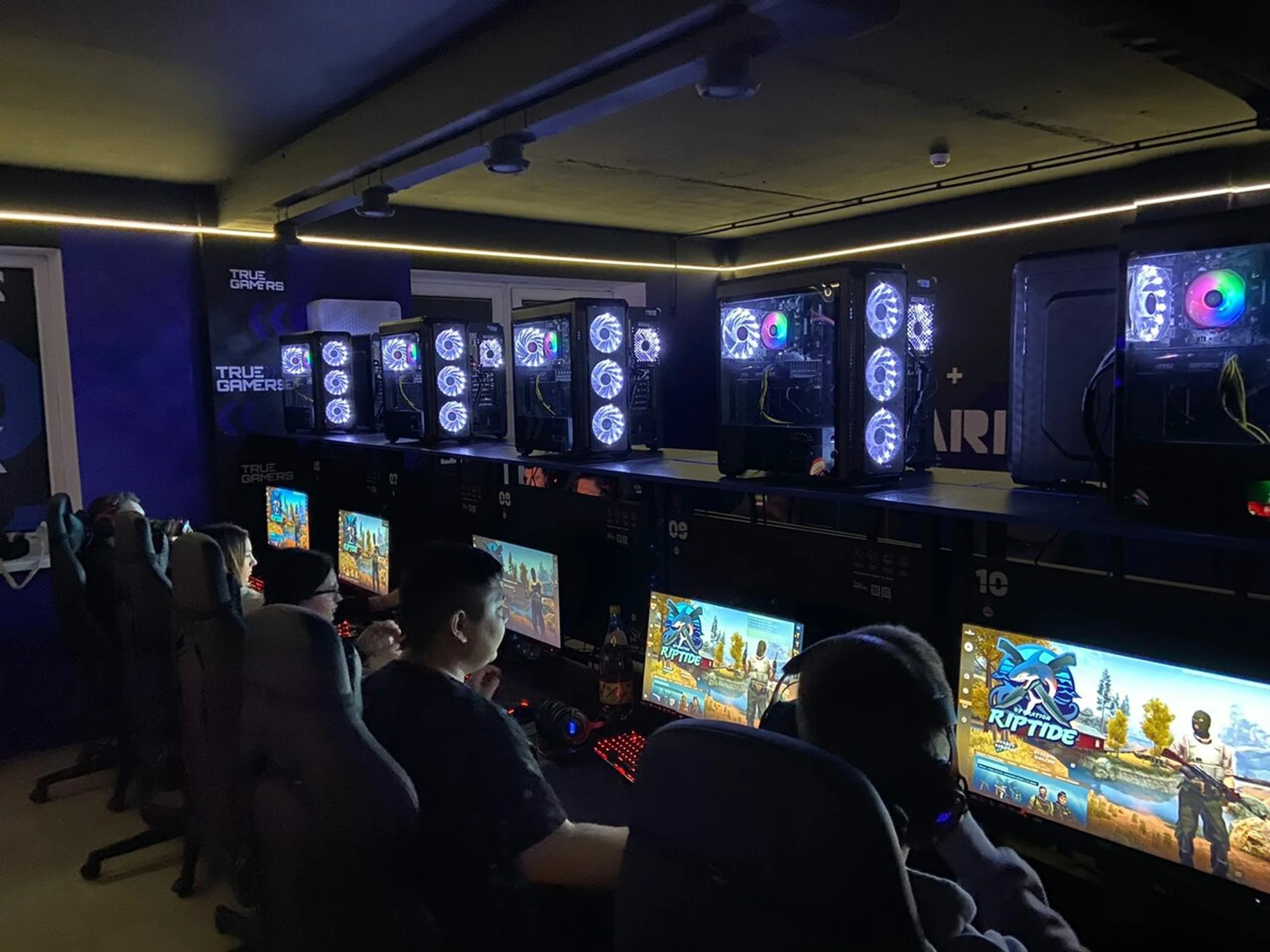 "True Gamers", киберспорт