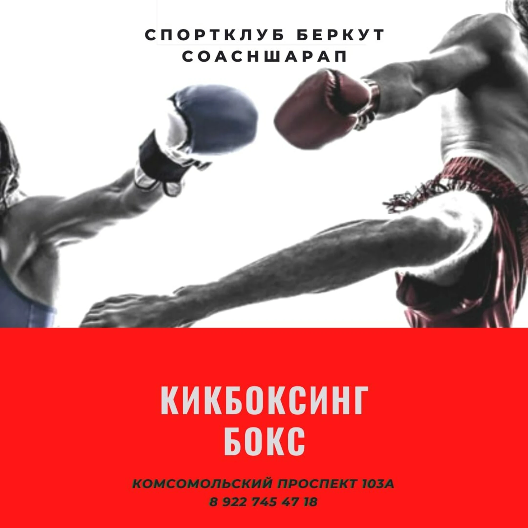 Беркут (Спортивный клуб, секция)