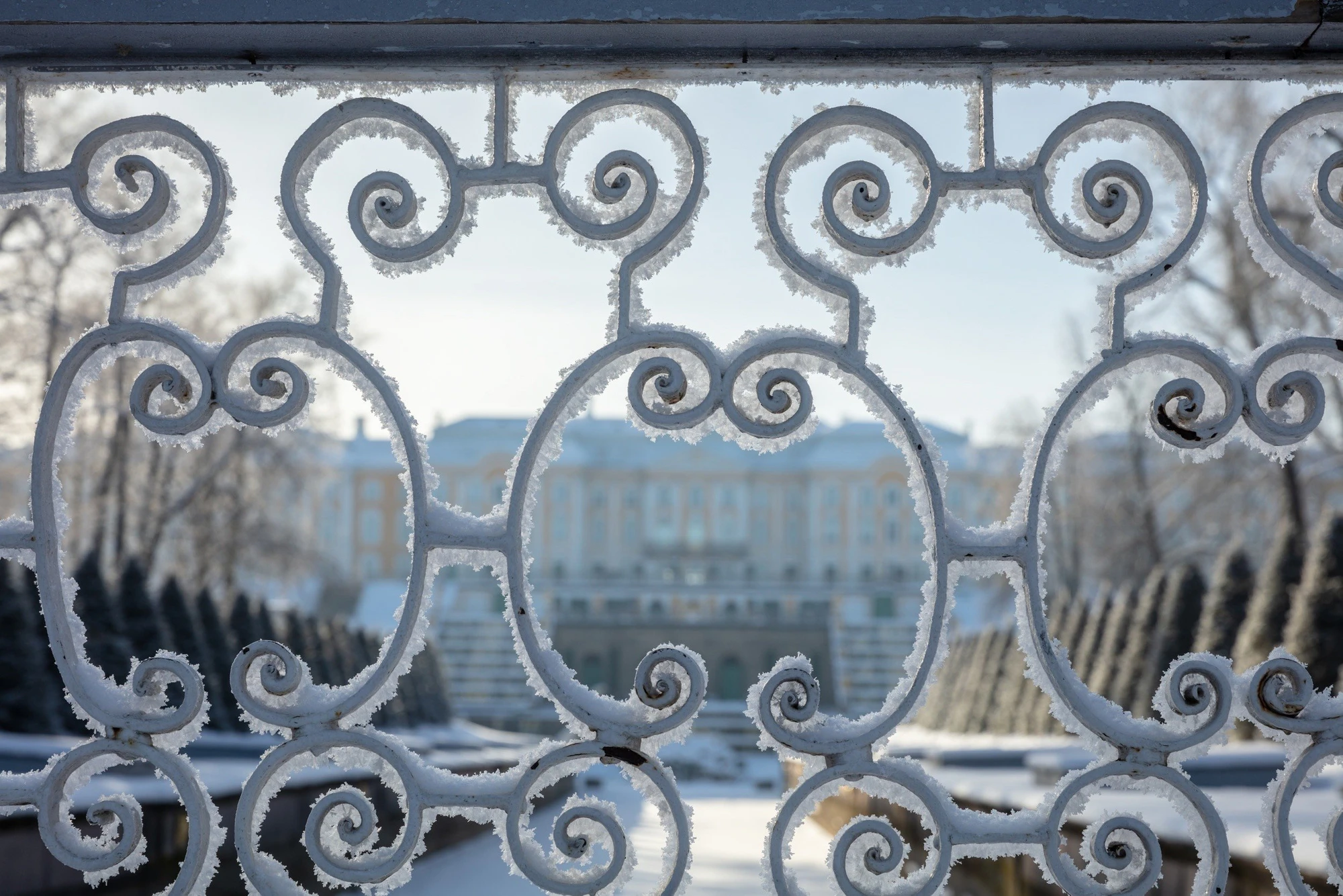 Фото:&nbsp;vk.com/peterhof_museum