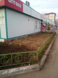 Чай, кофе (Магазин чая и кофе )