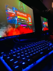 "True Gamers", киберспорт