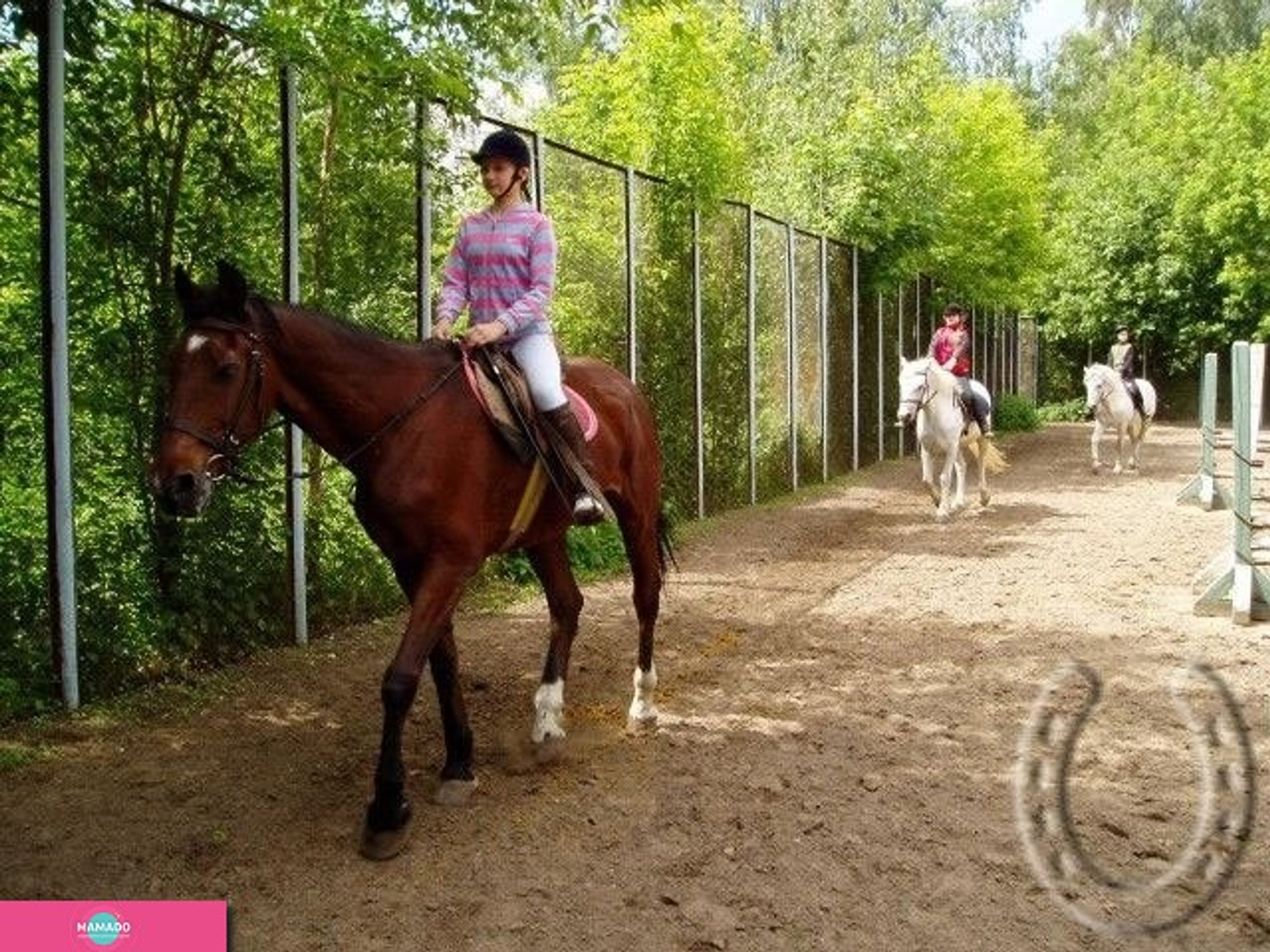 "Золотая подкова", конный клуб, верховая езда для детей в Кузьминках, Москва 