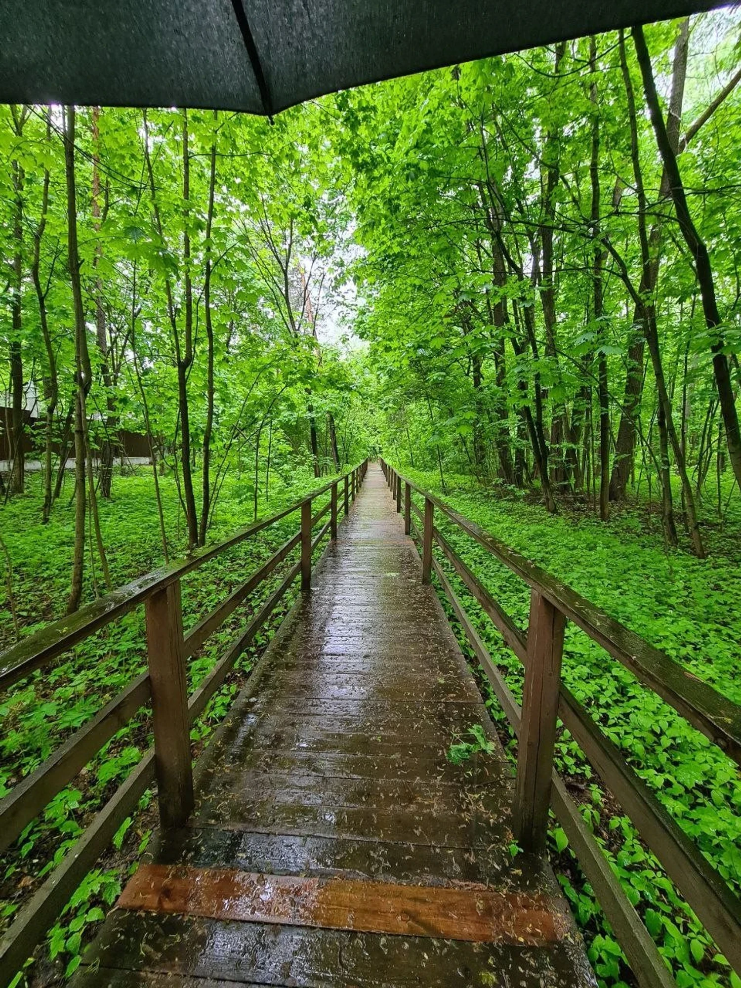 Фото: сербор.рф