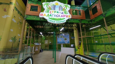 Страна Мадагаскария (Детские игровые залы и площадки )