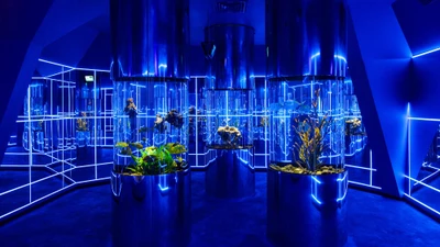 "Дельфиния", дельфинарий и океанариум, центр океанографии и морской биологии в Новосибирске