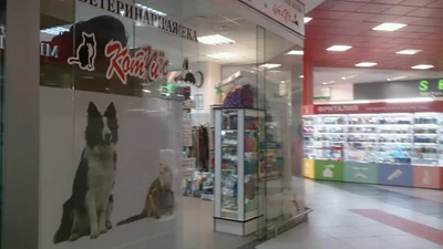 Кот и Пёс (Ветеринарная аптека)