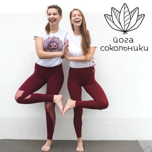 Йога в Сокольниках (Центр йоги)