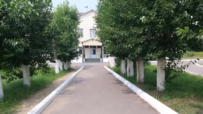 Мадрид, детский футбольный клуб (Дополнительное образование)