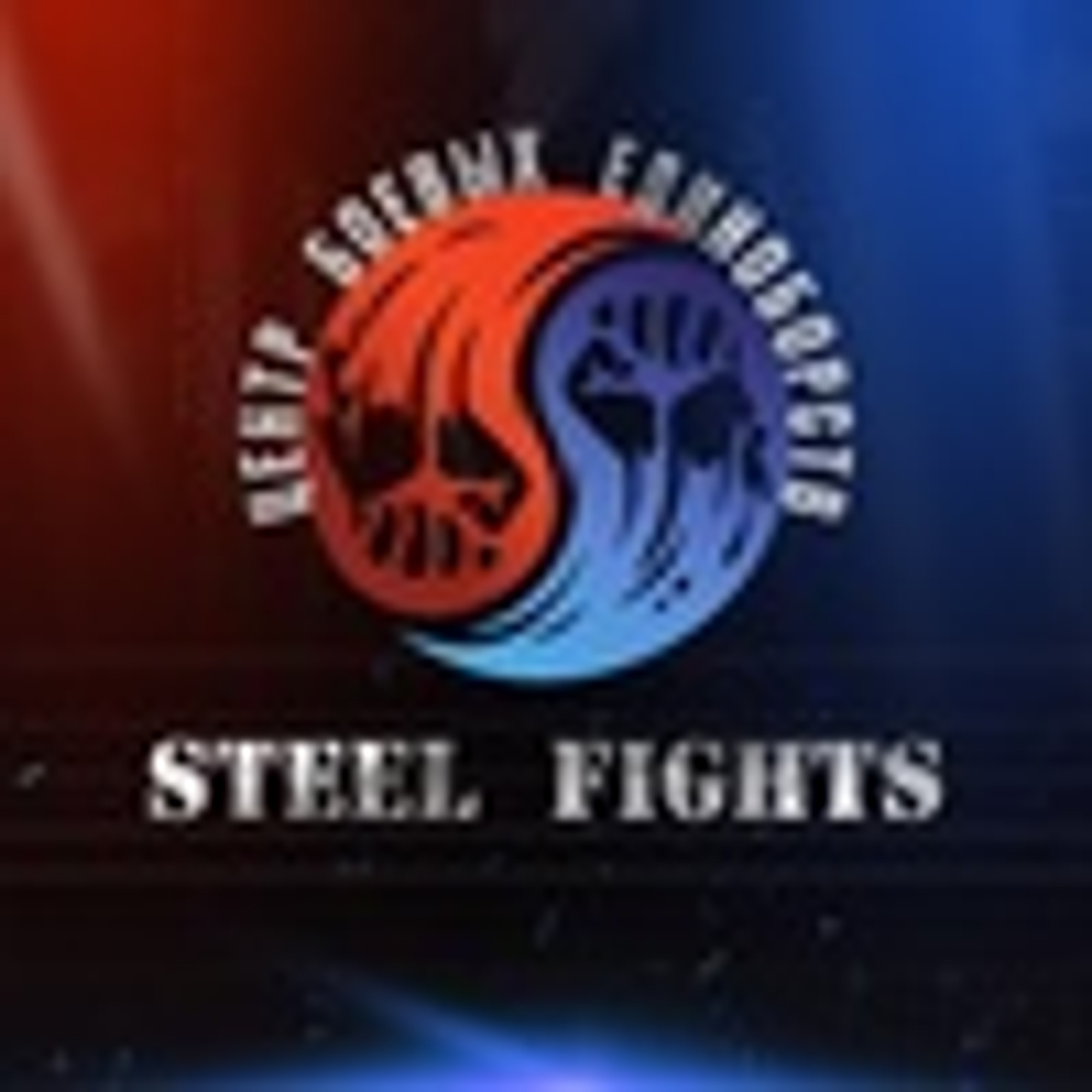 Центр боевых единоборств STEEL FIGHTS