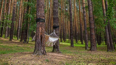 Парк-отель "Иволга" в Свердловской области в 30 минутах от Екатеринбурга