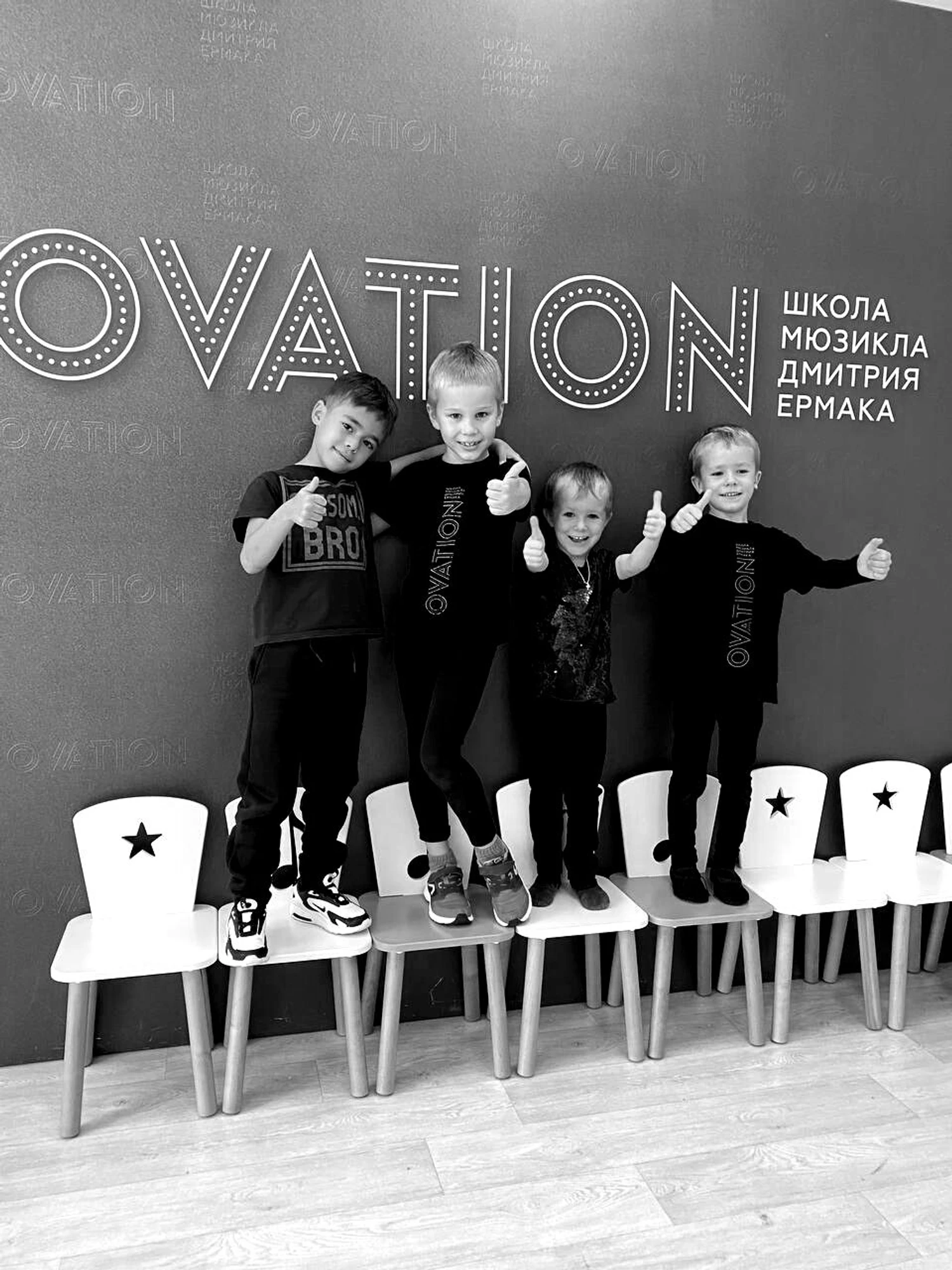 Школа мюзикла Дмитрия Ермака Ovation (Дополнительное образование )