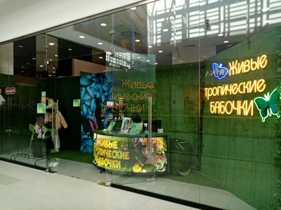 Выставка живых бабочек (Зоопарк)