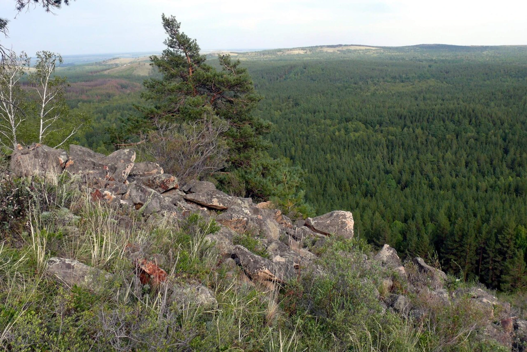 Санаторий Карагайский бор (Санаторий)