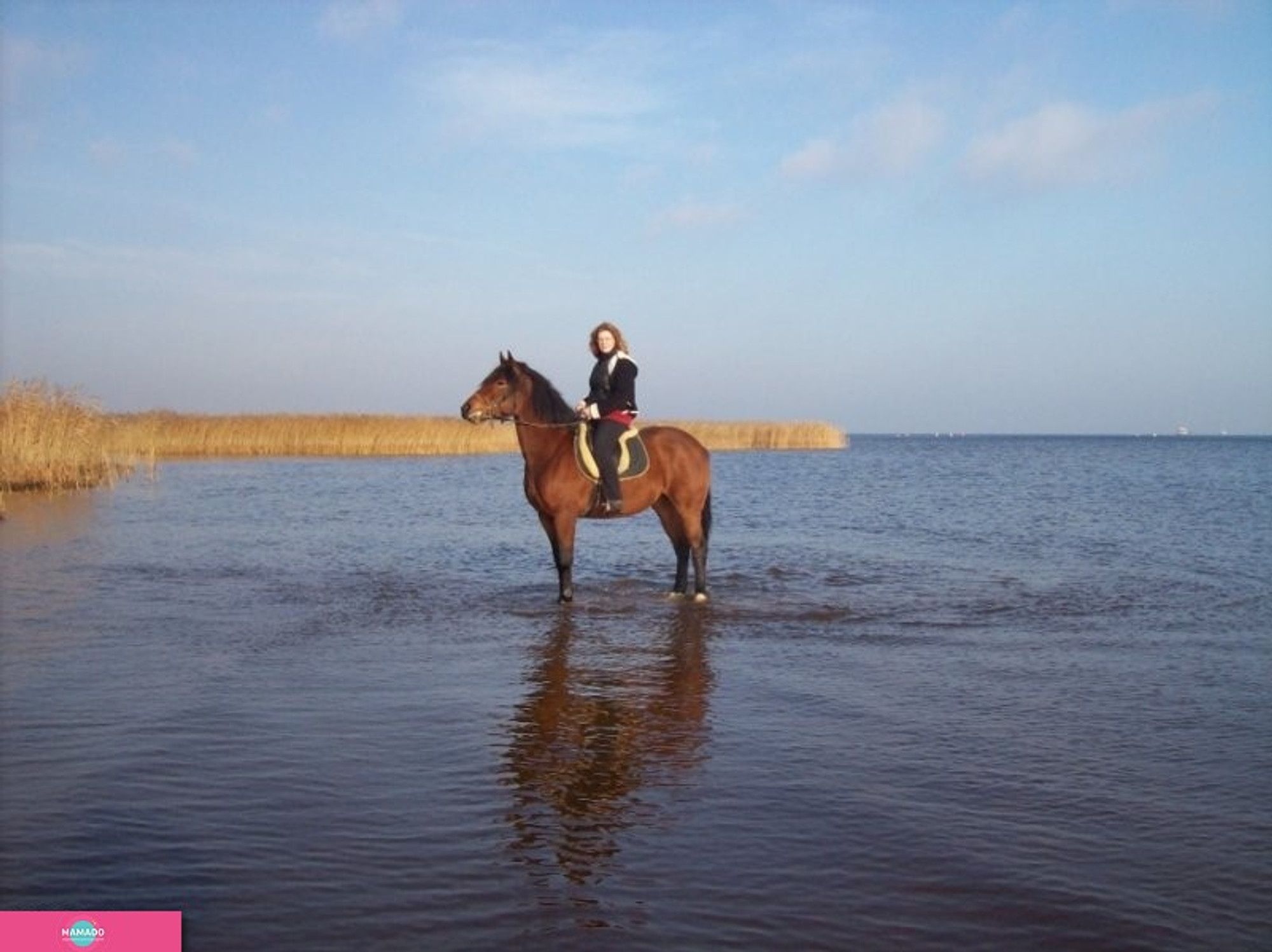 КСК На Ладоге, конный клуб в пос. им. Морозова (СПб) 